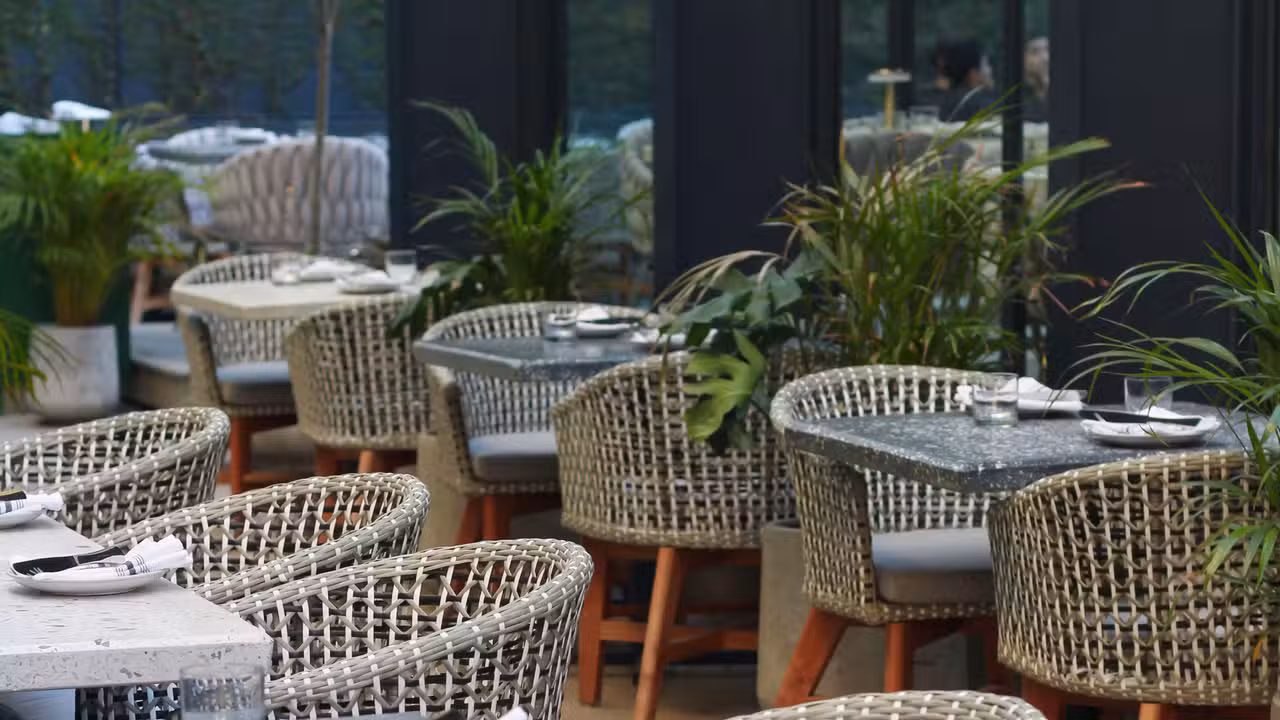 Comida mexicana contemporánea.  - Embajadora, Tijuana, BCN