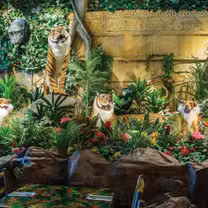 A photo of Rainforest Cafe - Niagara Falls USA restaurant