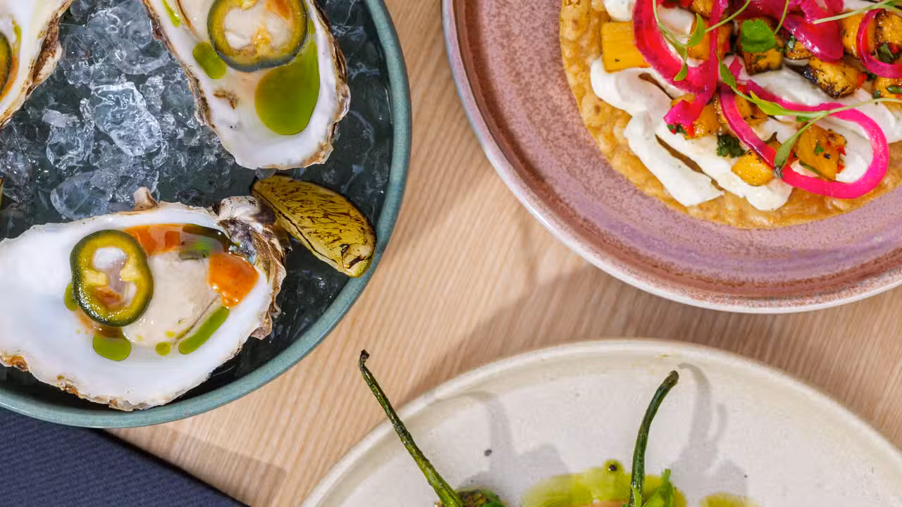 Paloma, Edinburgh, Edinburgh