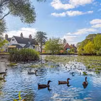A photo of The Rose Inn restaurant