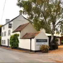 A photo of The Vine Tree restaurant