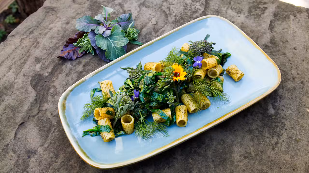 Eten - Café Botanico, Berlin, BE