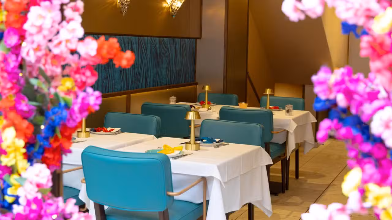 Sofra & Ozer Restaurant South Molton Street, London, Greater London