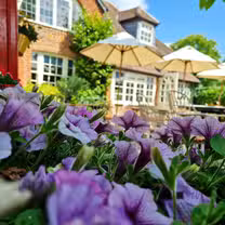 A photo of Lussmanns - Harpenden restaurant