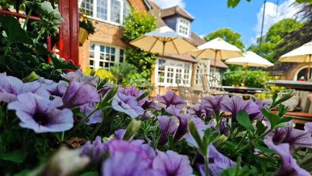 A photo of Lussmanns - Harpenden restaurant