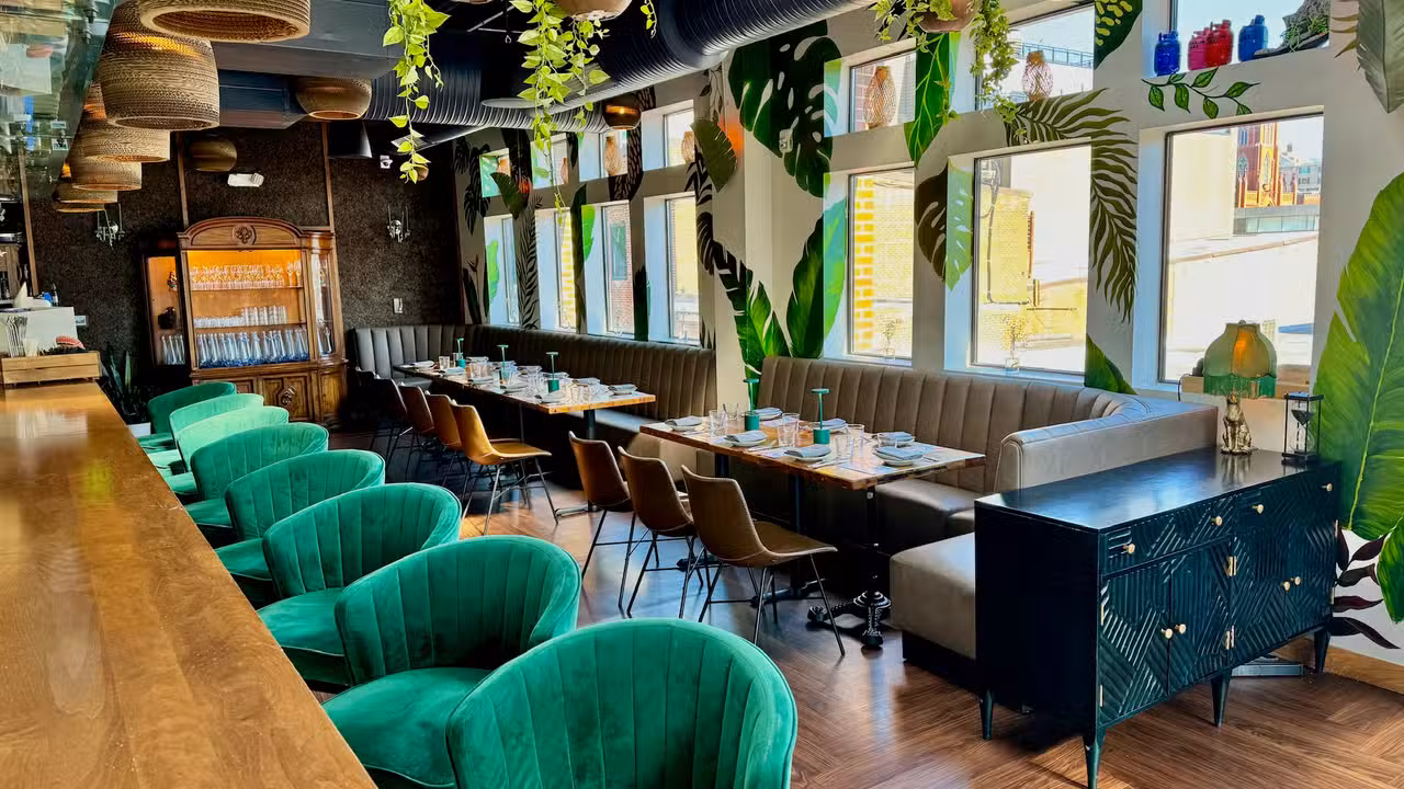Interior - Amazonia, Washington, DC
