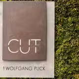 The First CUT photo