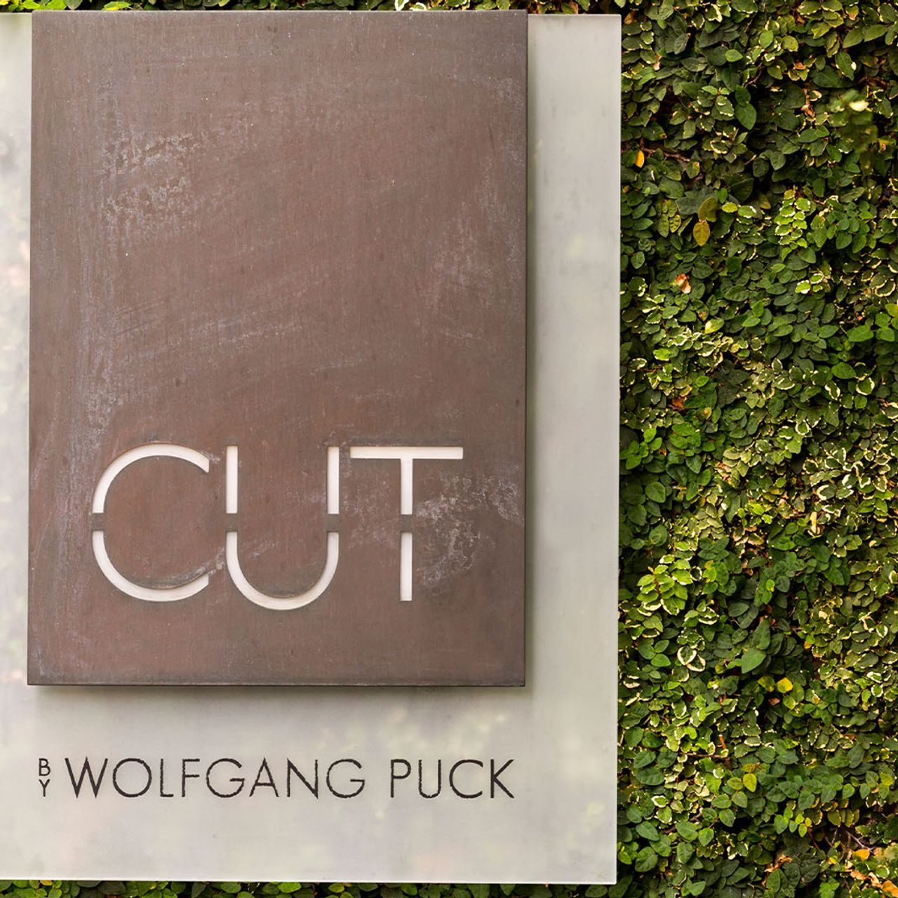 cut beverly hills dress code CUT by Wolfgang Puck at Beverly Wilshire Restaurant - Beverly Hills, CA