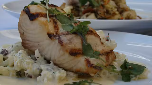 A photo of Fin Bistro restaurant