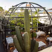 A photo of Quemadero restaurant