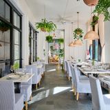 Cover image for Commons Club Bar & Restaurant