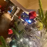 Festive Lunch foto