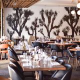 Cover image for Larkspur Grill at HOTEL PASEO