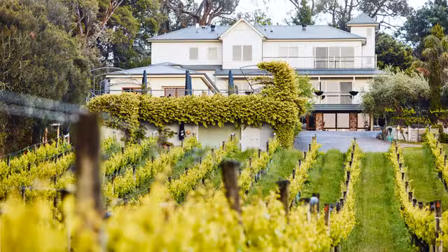 A photo of Morning Sun Vineyard restaurant