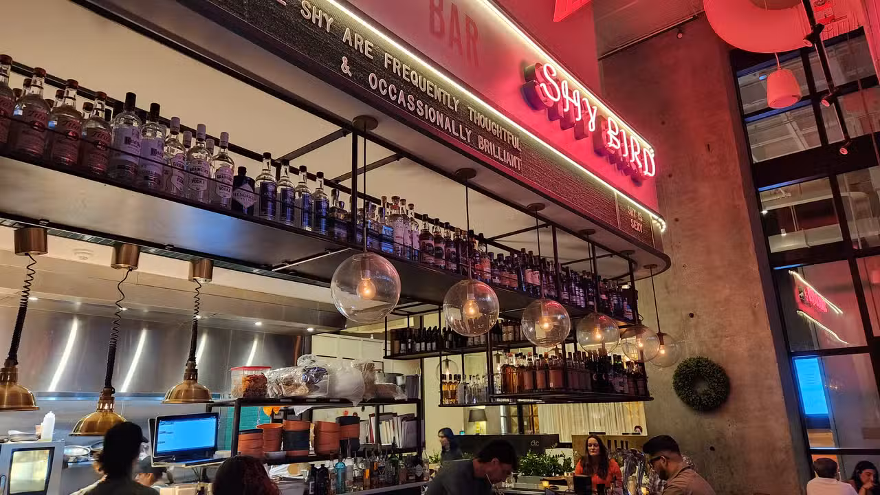 Interior - Shy Bird - Kendall Square, Cambridge, MA