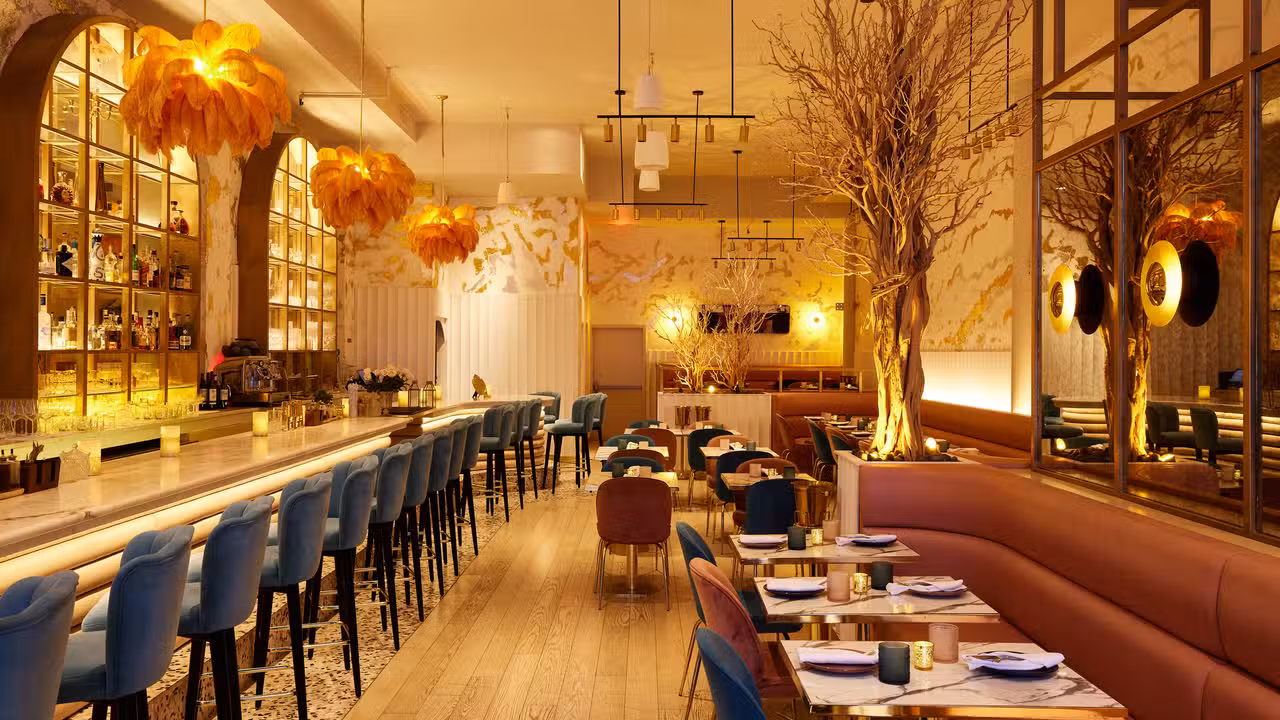Reyna New York Mediterranean Restaurant Cocktail - Reyna - NYC, New York, NY