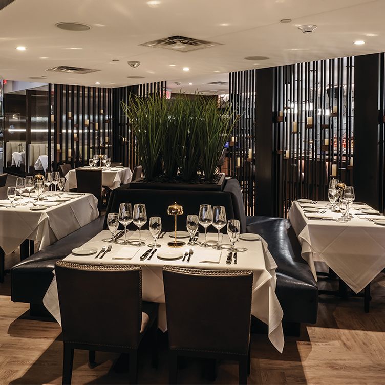 Ocean 48 - Newport