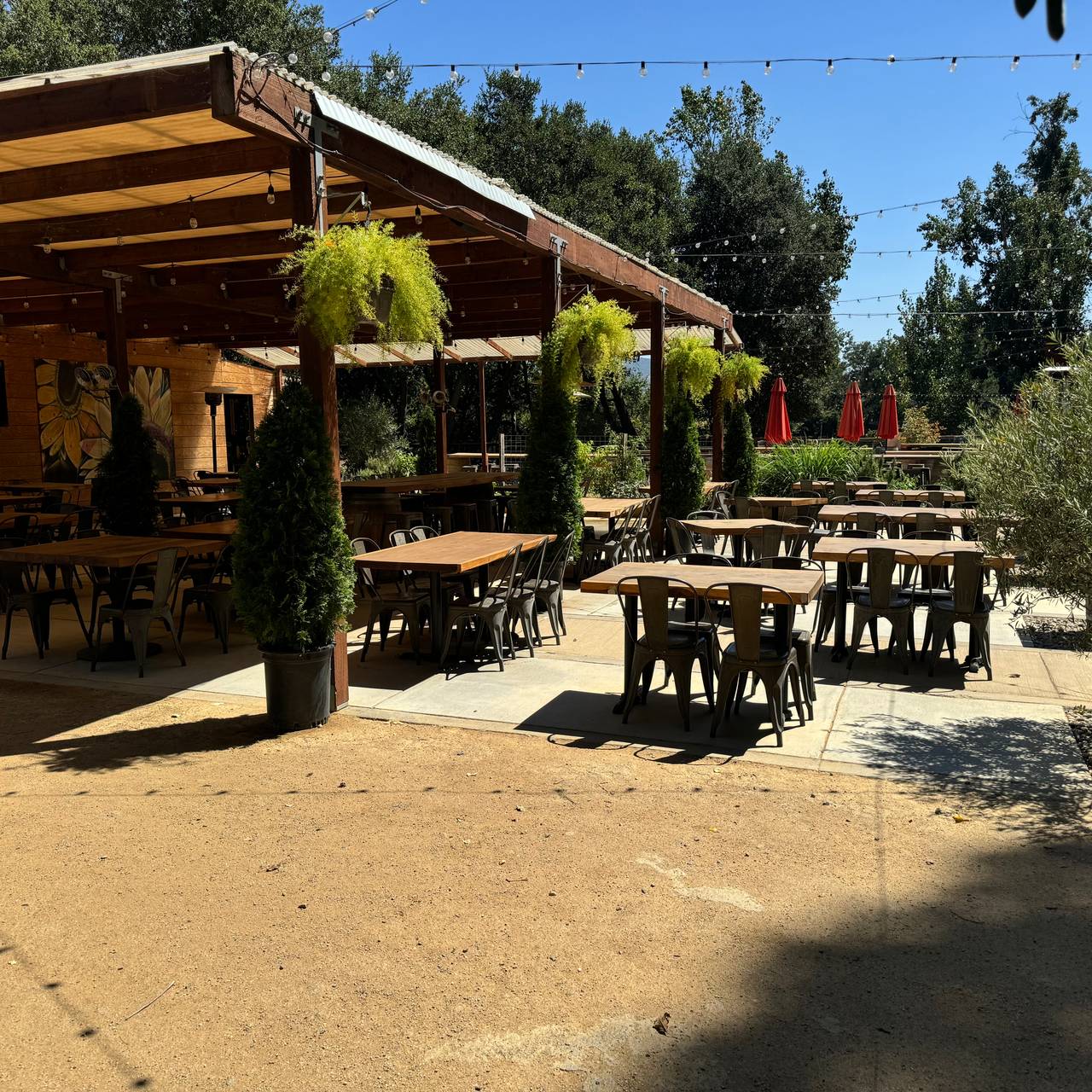 Napa Yard - Oxbow Gardens