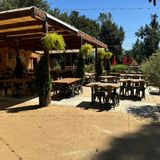 Cover image for Napa Yard Oxbow Gardens