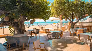 Une photo du restaurant Hau Tree