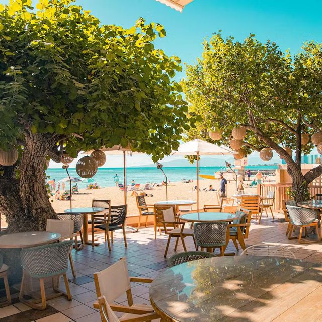 Hau Tree​ レストラン - Honolulu, HI | OpenTable