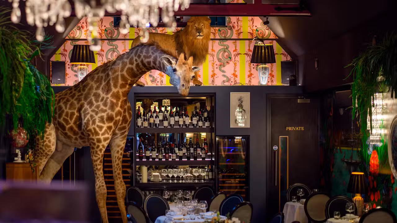 Mishky By Jorge Pacheco, London, Greater London