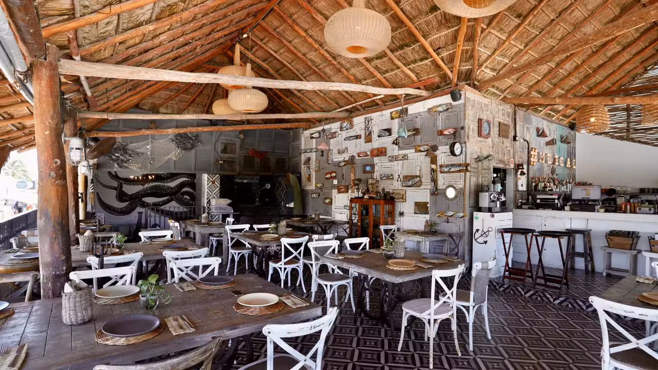 Disfruta de la vista de Puerto Morelos - Punta Corcho, Puerto Morelos, ROO