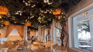 Una foto del restaurante Trata on the River