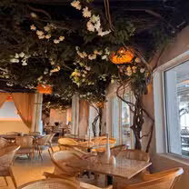A photo of Trata on the River restaurant