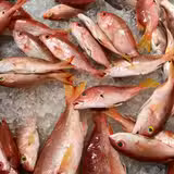 Red Snapper 2x1 Special 🐟😊 photo