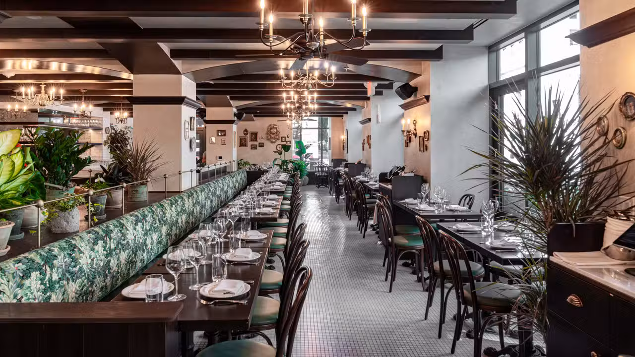 Olio e Più - DC, Washington, DC