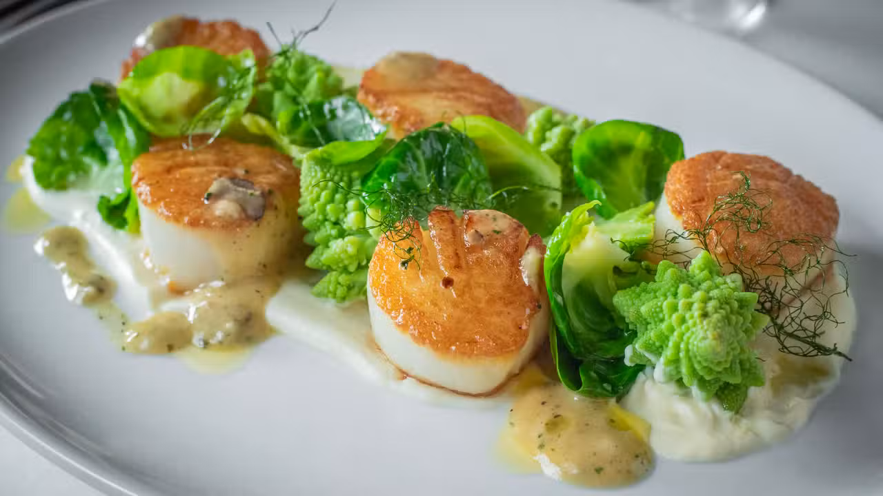 Sea Scallops - Martini Modern Italian, Columbus, OH