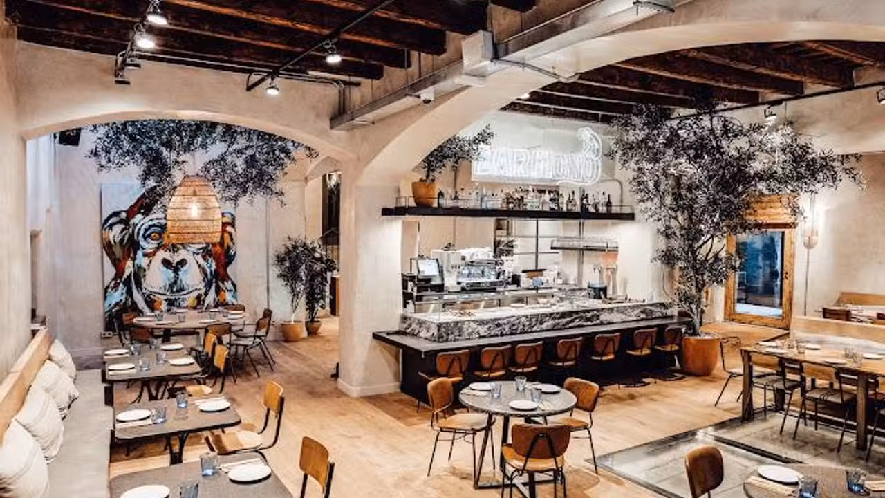Bar Mono, Barcelona, CT