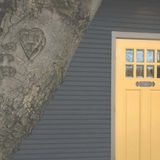 Cover image for 610 Magnolia