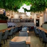 Cover image for Cocina de Barrio North Park
