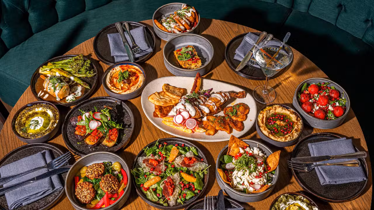 Levantine Feast - ala, Washington, DC