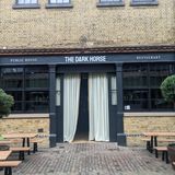 Cover image for The Dark Horse