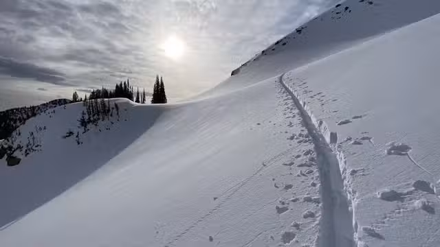 Una foto del restaurante Alpinist