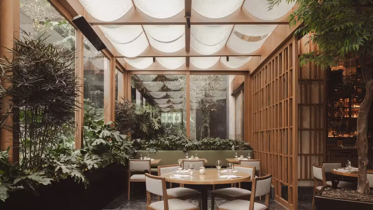 Terraza Nobu Arcos - Nobu -  Arcos Bosques, Mexico City, CDMX