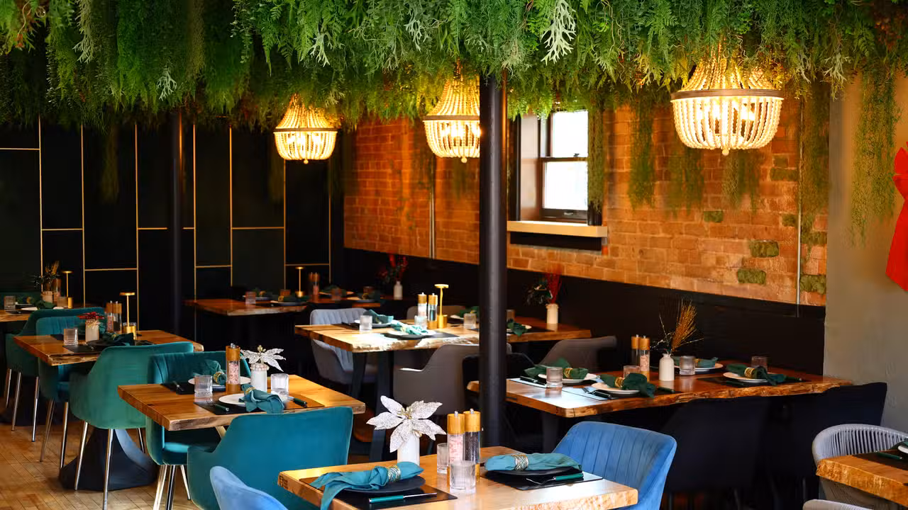 Dining Zone - Evergreen Restaurant, Colorado Springs, CO