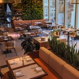 Cover image for Eataly NYC Downtown - La Pizza & La Pasta