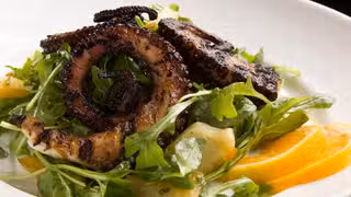 A photo of Cibo restaurant