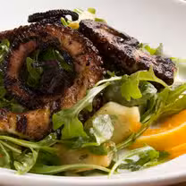 A photo of Cibo restaurant