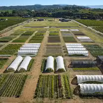 Een foto van restaurant SingleThread Farm at Dry Creek