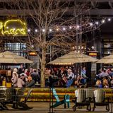 Cover image for Union Bear - Plano