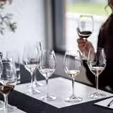 Introduction to Wine Tasting Masterclass foto