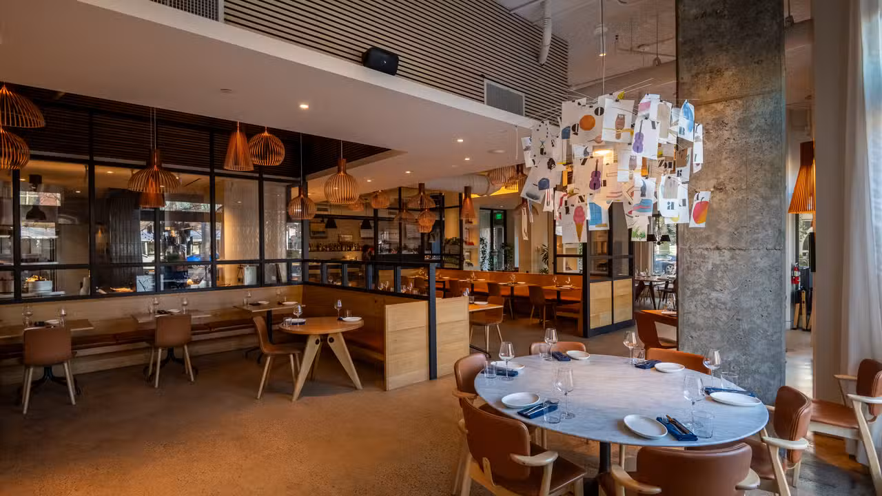 Tdtp Interior- - The Duck and the Peach, Washington, DC