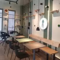 A photo of Katzentempel München, Türkenstraße restaurant