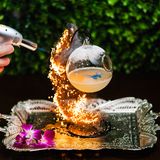 Cover image for Wonderland Bar
