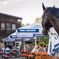 A photo of Zum Tilgshäusle restaurant